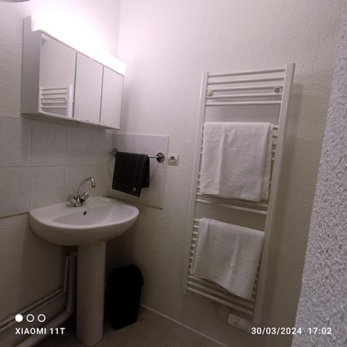 Villeurbanne Centre Appartement Meuble Ngoại thất bức ảnh